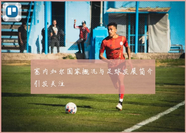 塞内加尔国家概况与足球发展简介引发关注