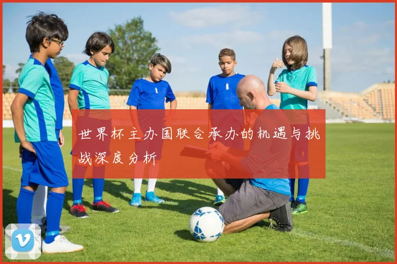 世界杯主办国联合承办的机遇与挑战深度分析