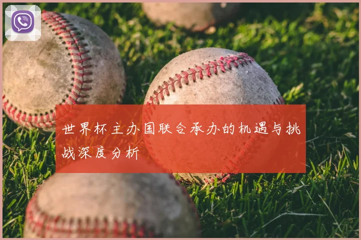 世界杯主办国联合承办的机遇与挑战深度分析